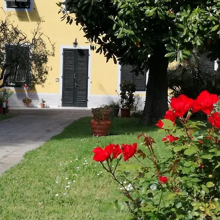 Casa Magnolia Lucca